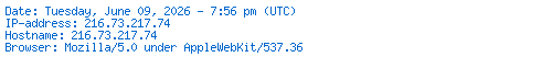 IP-Adresse und weitere Daten